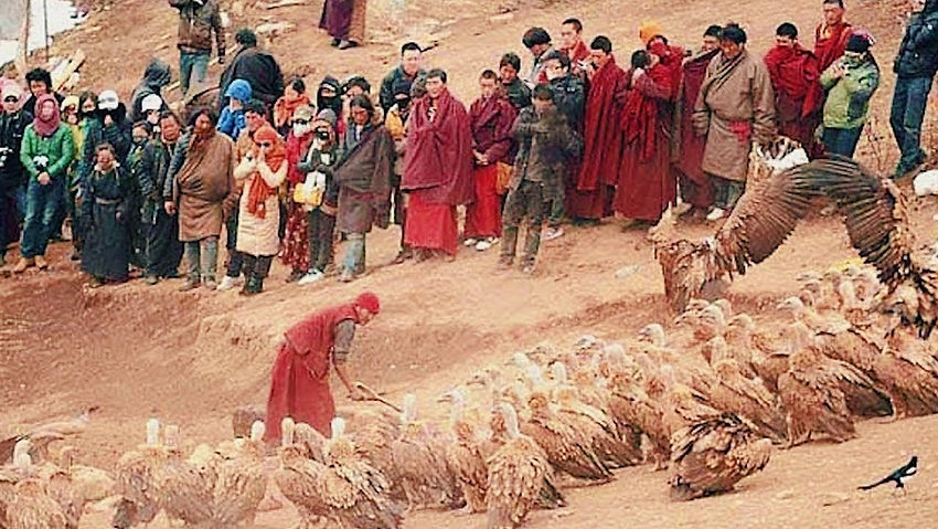 Hình thức Thiến táng hay Điểu táng ở Tây Tạng